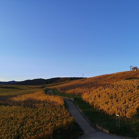 Apartamento Cocon De Caractere Au Coeur Des Vignes Alsaciennes Bergheim Exterior foto