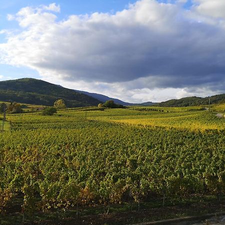 Apartamento Cocon De Caractere Au Coeur Des Vignes Alsaciennes Bergheim Exterior foto