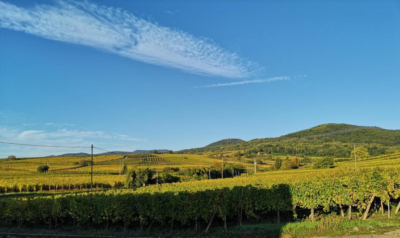 Apartamento Cocon De Caractere Au Coeur Des Vignes Alsaciennes Bergheim Exterior foto