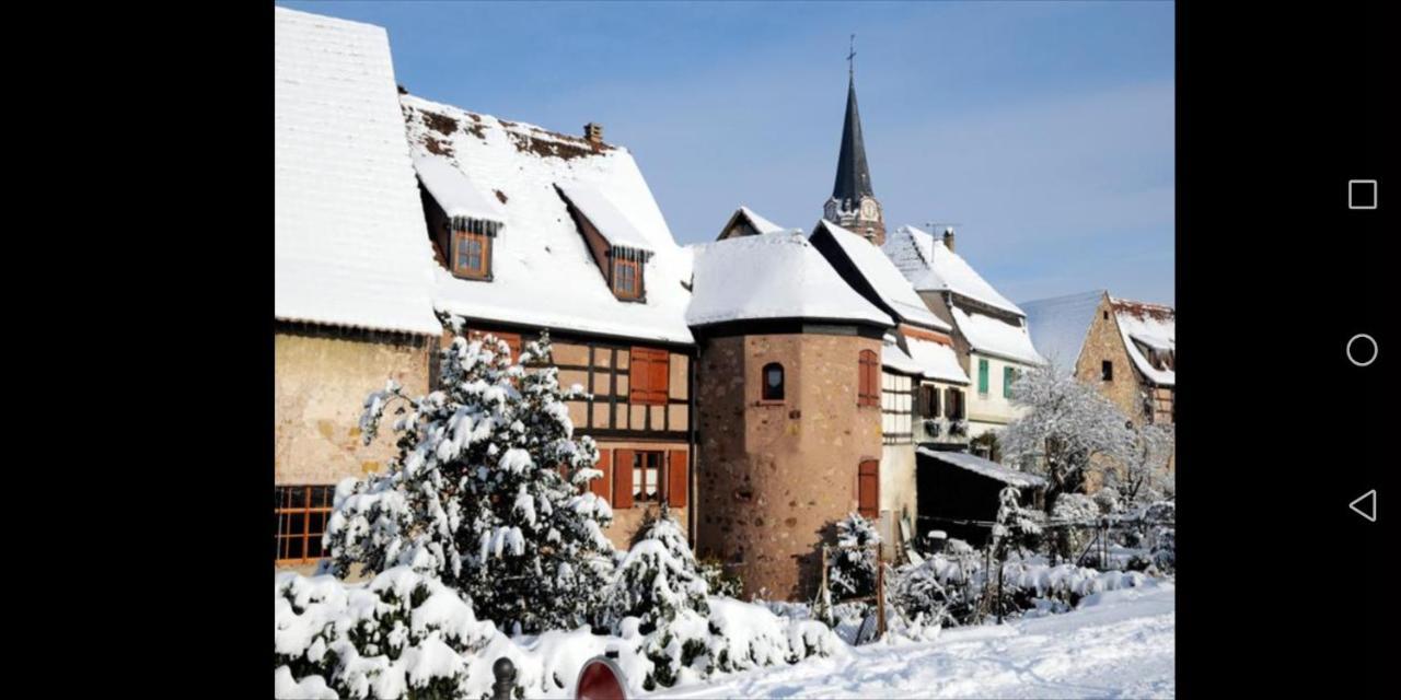 Apartamento Cocon De Caractere Au Coeur Des Vignes Alsaciennes Bergheim Exterior foto